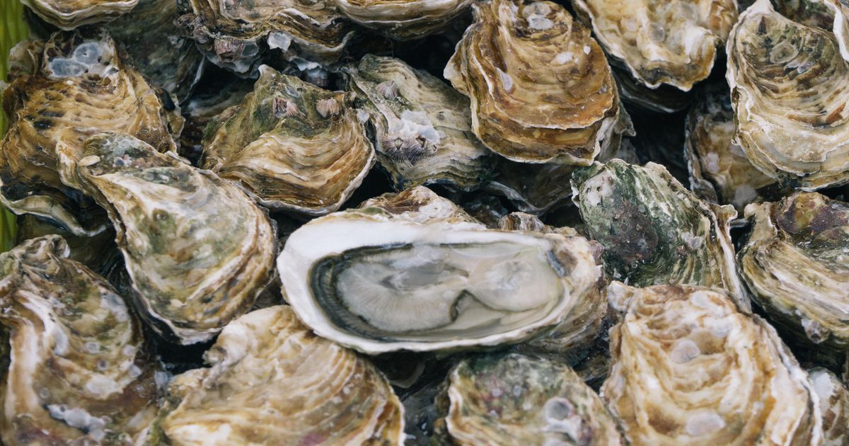 Man overlijdt na eten oester: ’Kans van 1 op een miljard’